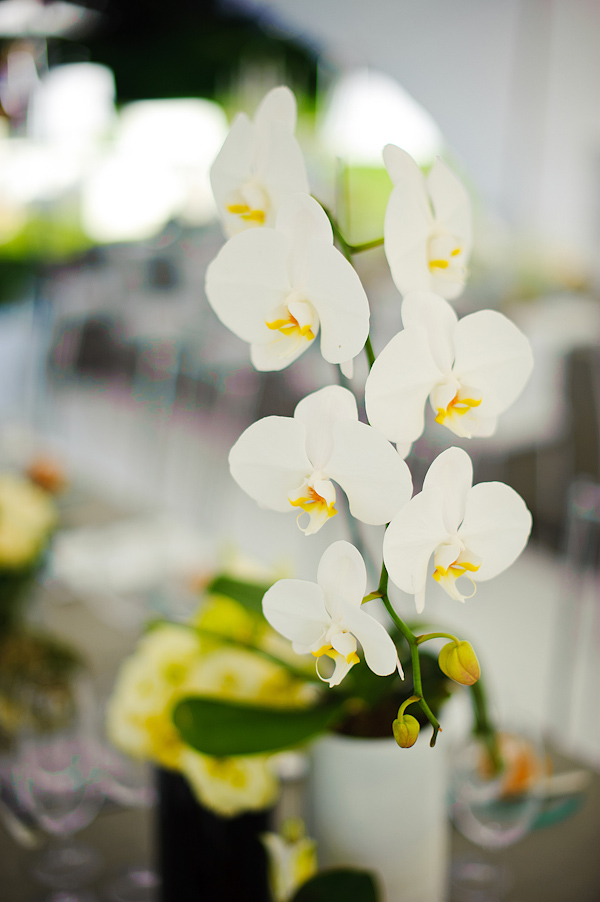 wedding photo by Eric Uys Photography, orchid centerpiece, reception floral detail